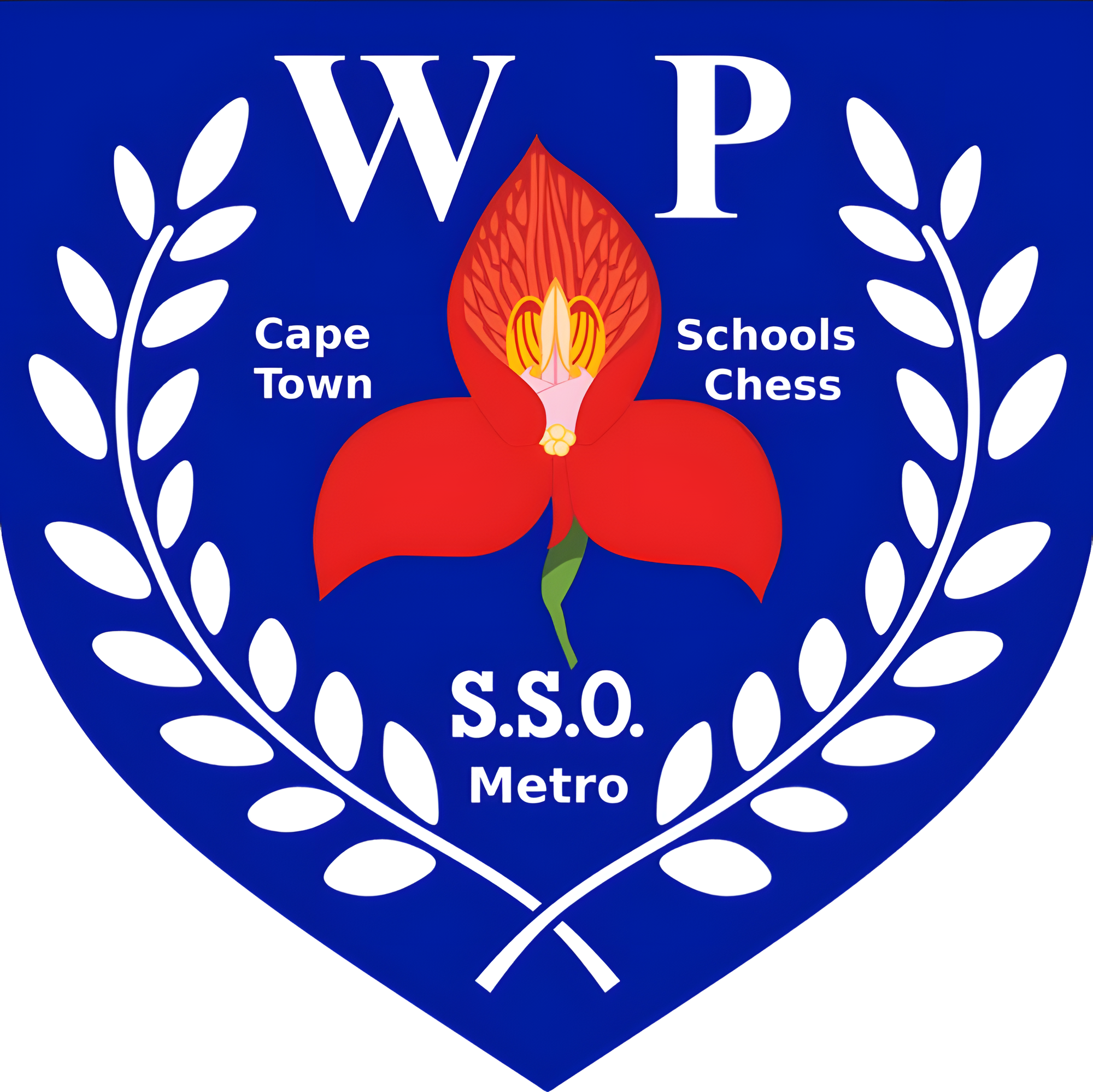 Cape Town Metro Schools Chess